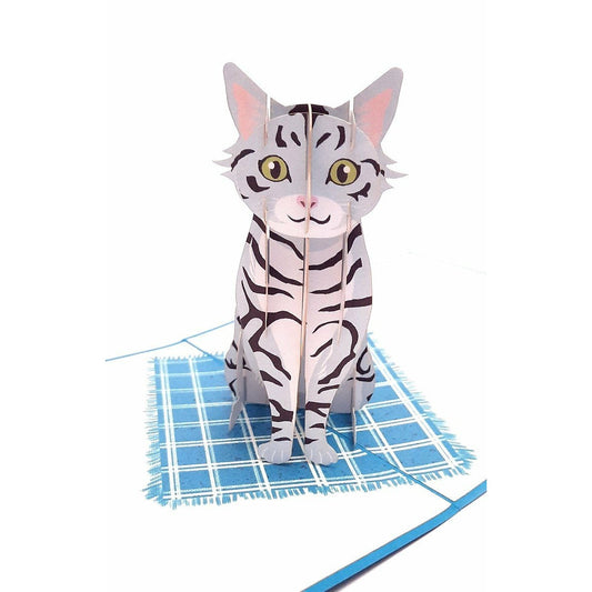3D üdvözlőlap - Cirmos macska
