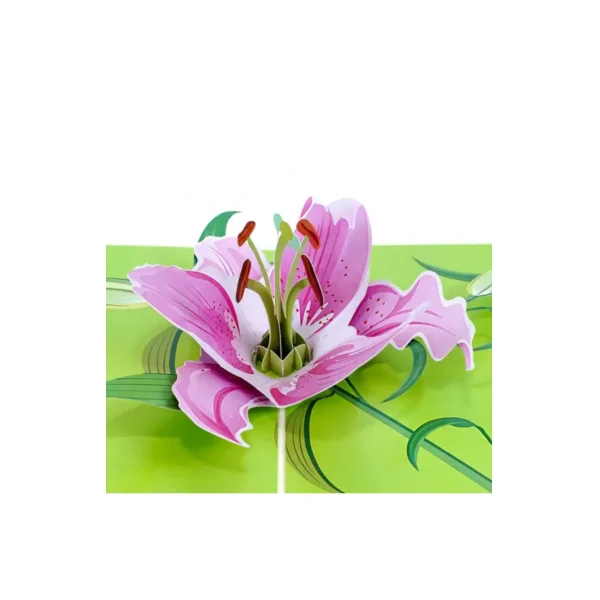 3D üdvözlőlap – Liliom
