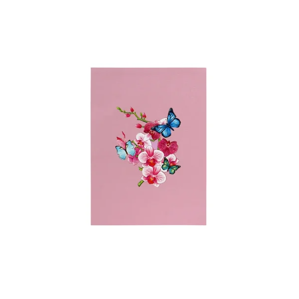 3D_prani_orchidej_cover.webp 3D üdvözlőlap – Orchidea