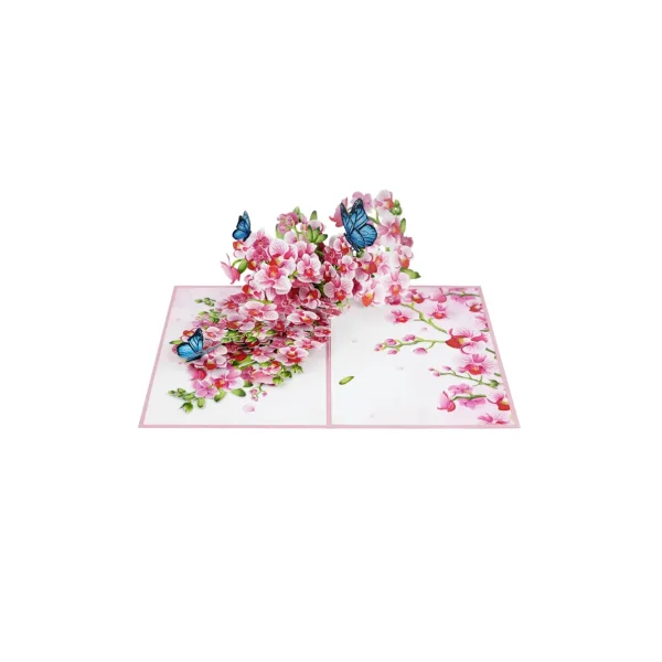 3D_prani_orchidej_open.webp 3D üdvözlőlap – Orchidea