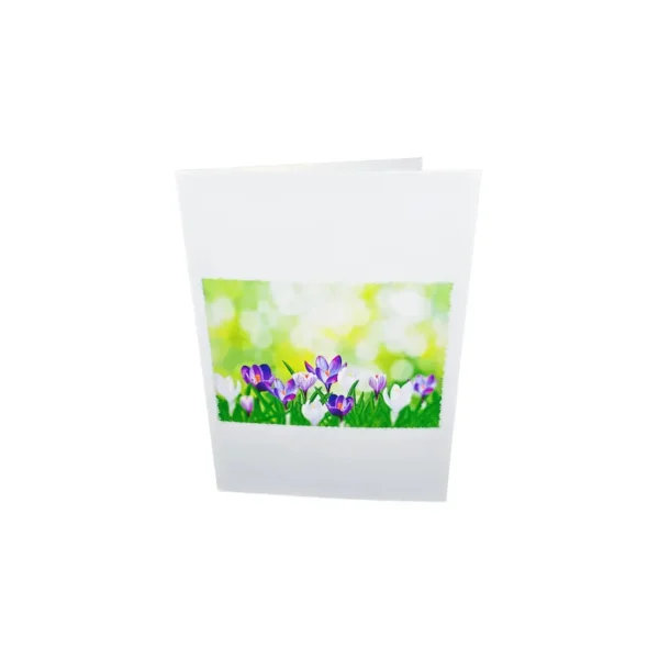 3D_prani_safran_cover.webp 3D üdvözlőlap – Sáfrány