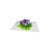 3D_prani_safran_open.webp 3D üdvözlőlap – Sáfrány