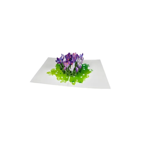 3D_prani_safran_open.webp 3D üdvözlőlap – Sáfrány