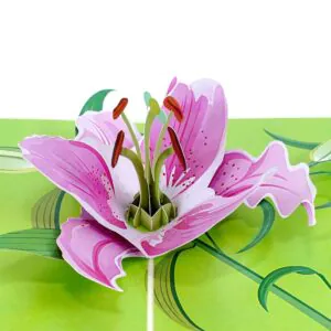 3D üdvözlőlap - Liliom