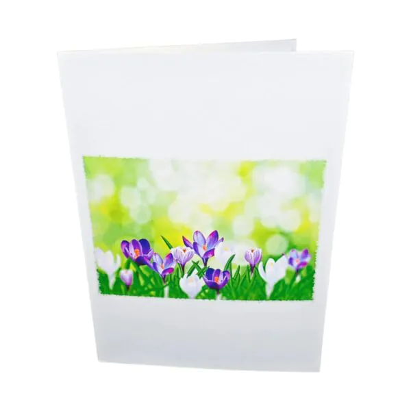 3D üdvözlőlap - Sáfrány