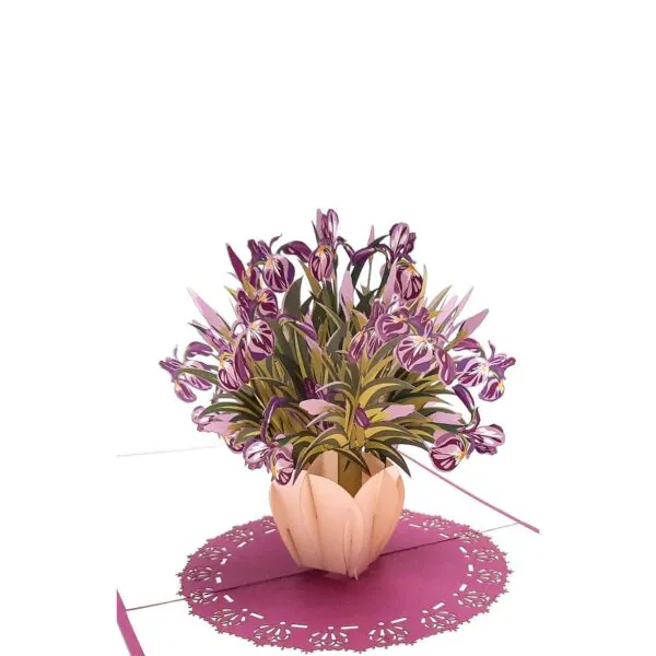 3D üdvözlőlap - Íriszek