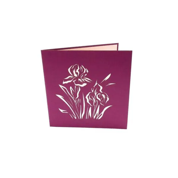 3D üdvözlőlap - Íriszek