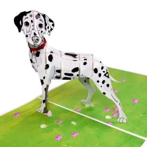 3D üdvözlőlap - Dalmát