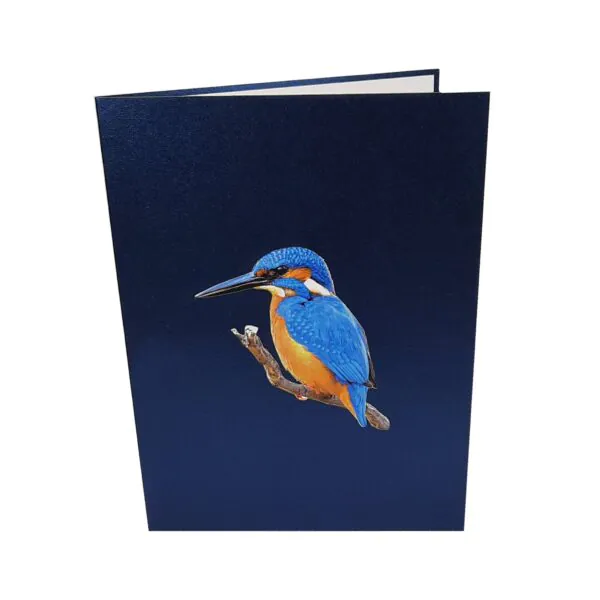 3D üdvözlőlap - Jégmadár