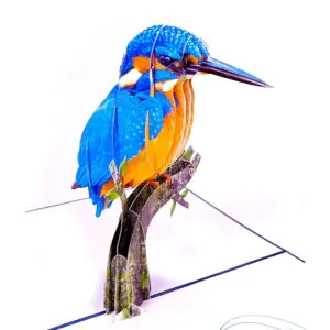 3D üdvözlőlap - Jégmadár