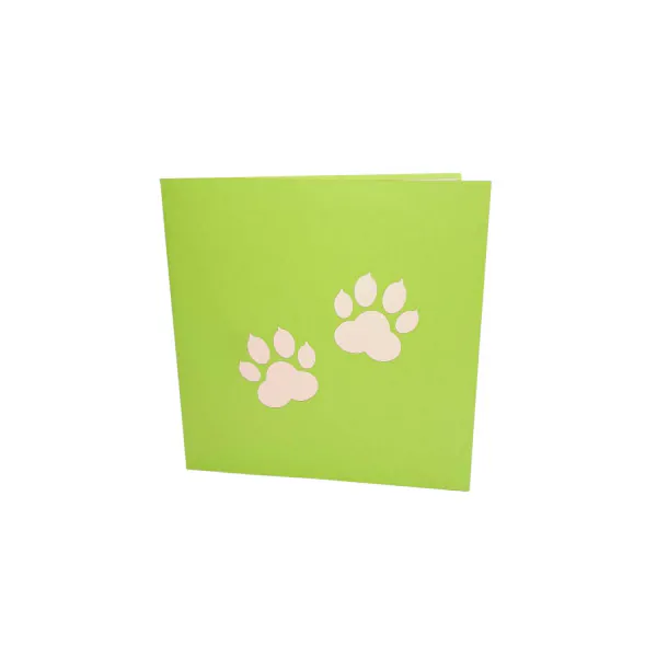 border_kolie_cover.jpg 3D üdvözlőlap – Border collie