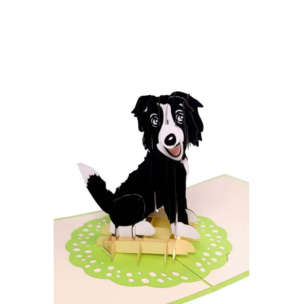 3D üdvözlőlap – Border collie