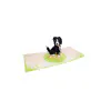 border_kolie_open.jpg 3D üdvözlőlap – Border collie