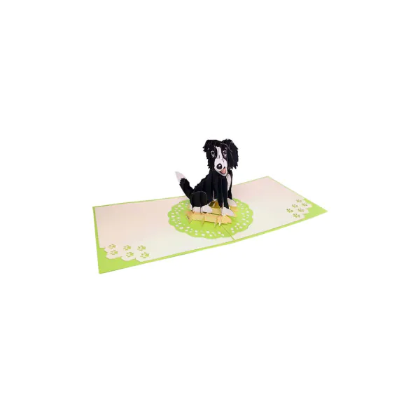 border_kolie_open.jpg 3D üdvözlőlap – Border collie