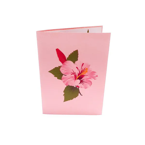 ibisek_front.jpg 3D üdvözlőlap – Hibiszkusz