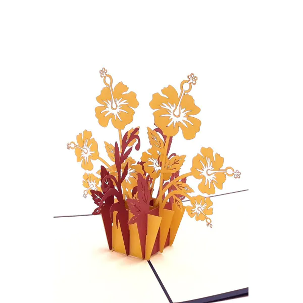 3D üdvözlőlap – Hibiszkusz cserépben