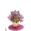 iris_detail.jpg 3D üdvözlőlap – Írisz