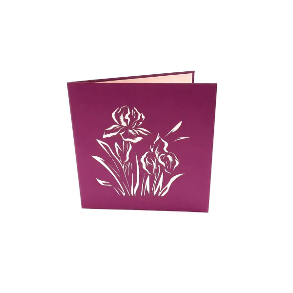iris_front.jpg 3D üdvözlőlap – Írisz