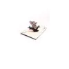 koala_open.jpg 3D üdvözlőlap – Koala
