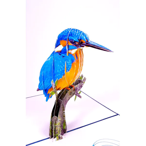 3D üdvözlőlap – Jégmadár