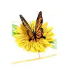 motyl_na_kvetince.jpg 3D üdvözlőlap – Pillangó a virágon
