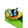 motyl_na_slunecnici_detail.jpg 3D üdvözlőlap – Pillangó a napraforgón