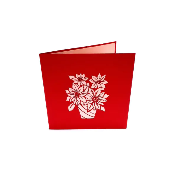 poinsettia_front.jpg 3D üdvözlőlap – Karácsonyi csillag